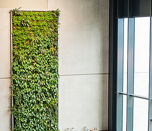 Greener buildings & plant walls