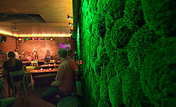 Functionally acoustic Greenhill moss walls, POOL Leipzig, bar and event venue, vertical greening